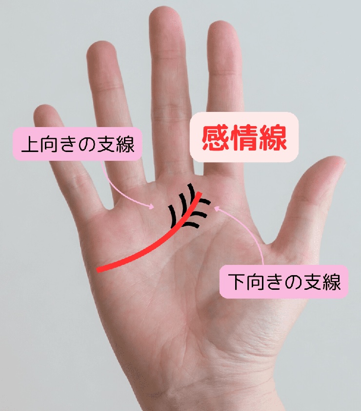 支線のある感情線