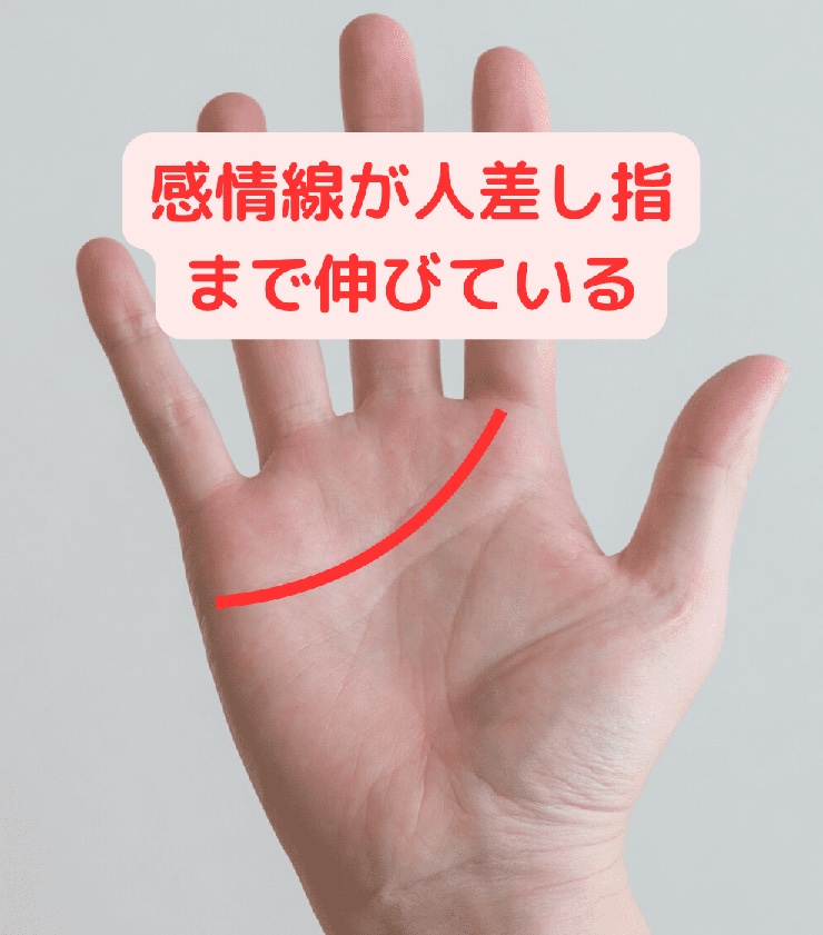 感情線が人差し指まで伸びている