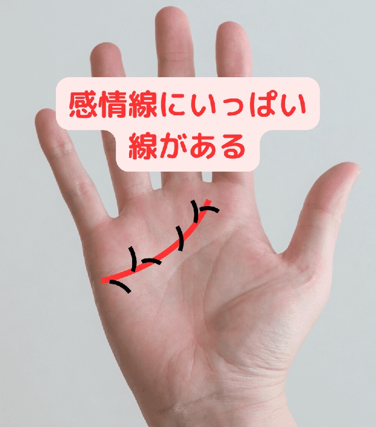 感情線にいっぱい線がある