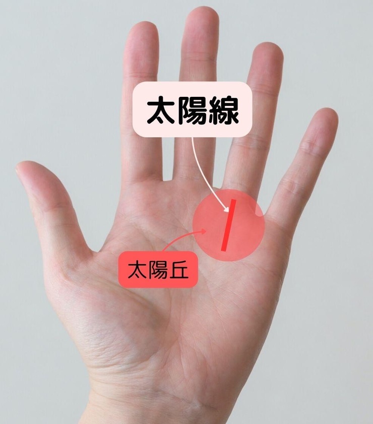 7.華やかさが人気と財産を呼ぶ！「太陽線」と「太陽丘」