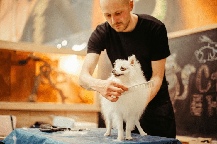 トリマー資格まとめ