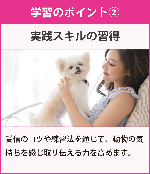 学習のポイント