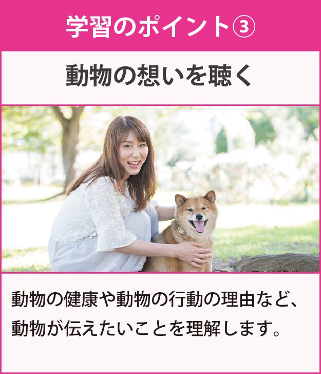 学習のポイント