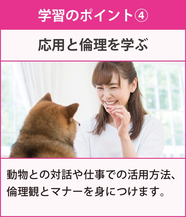 学習のポイント