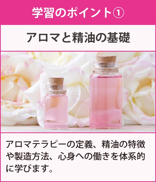 学習のポイント