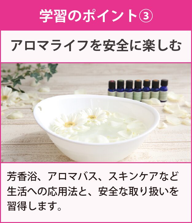 学習のポイント