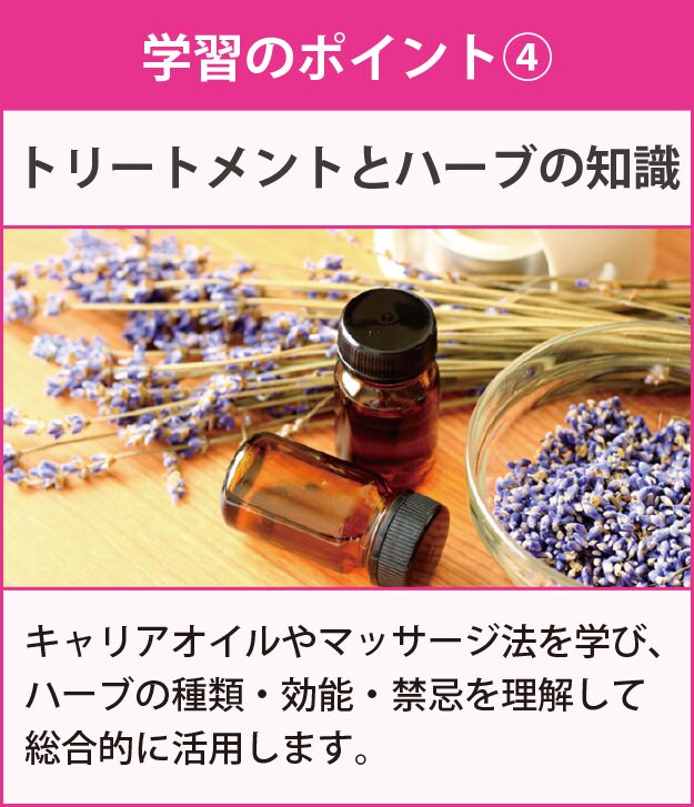 学習のポイント