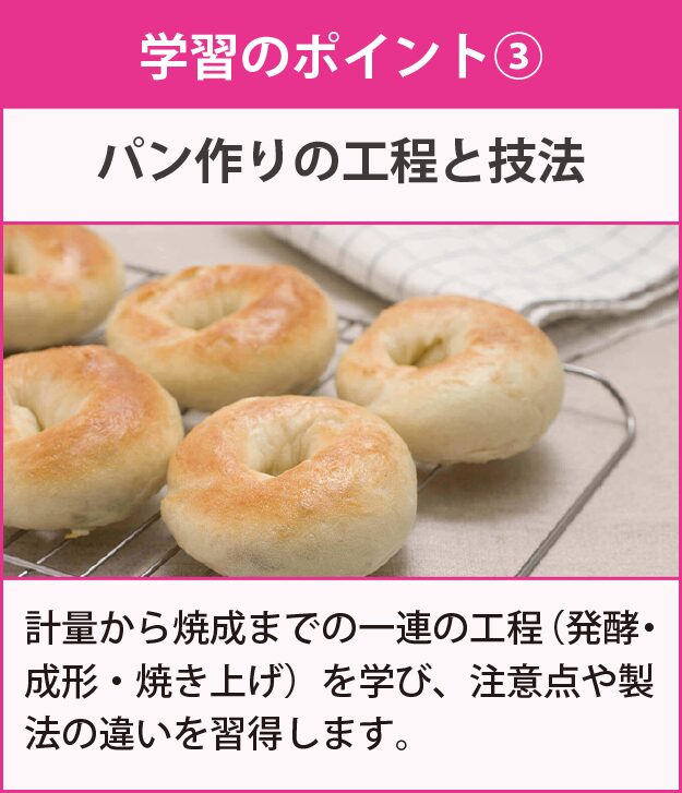 学習のポイント