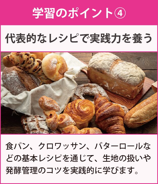 学習のポイント