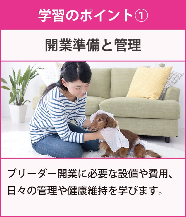 学習のポイント