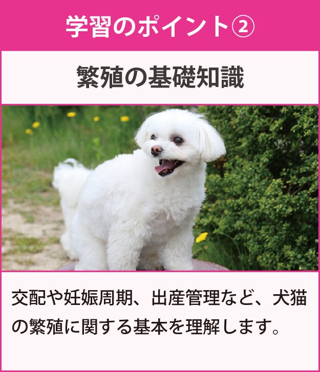 学習のポイント