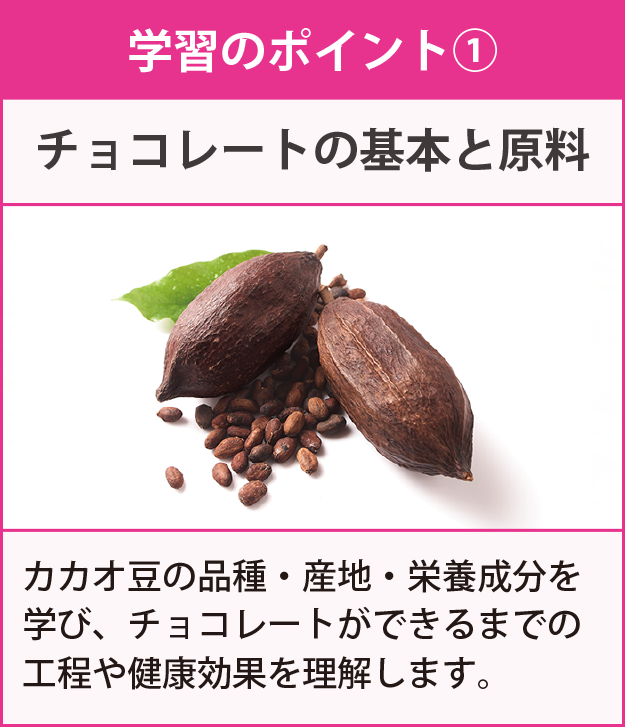 学習のポイント