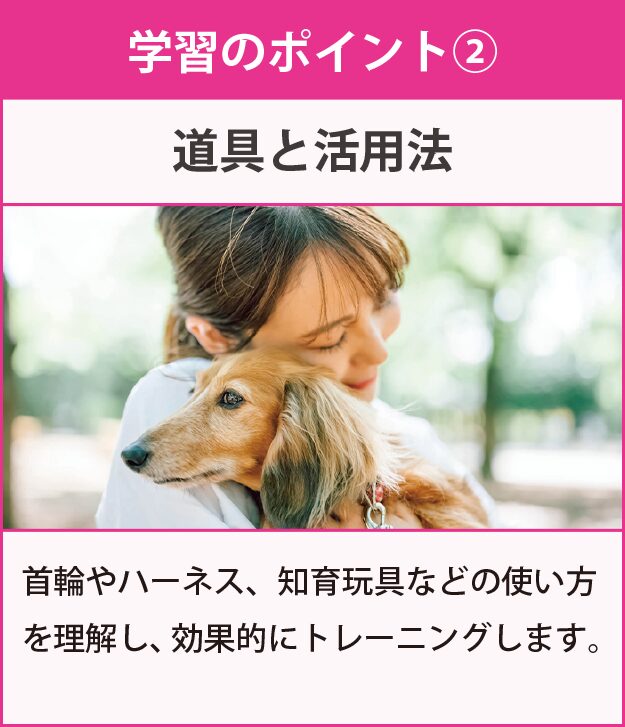 学習のポイント