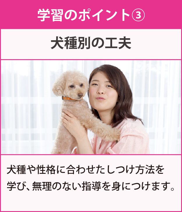 学習のポイント