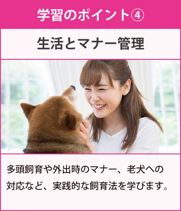 学習のポイント