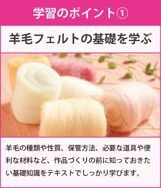 学習のポイント