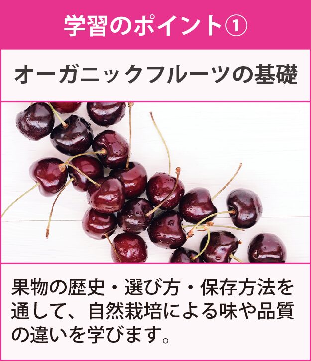 学習のポイント