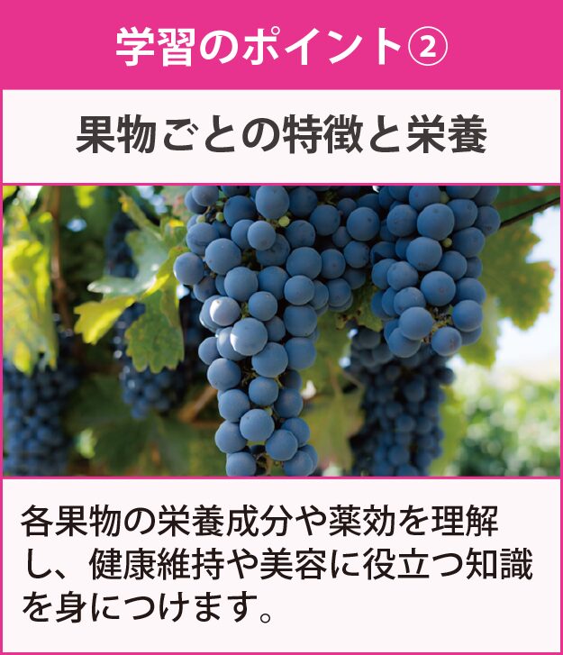 学習のポイント