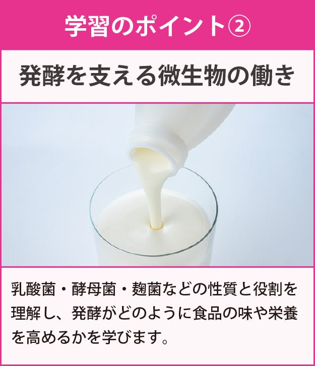 学習のポイント