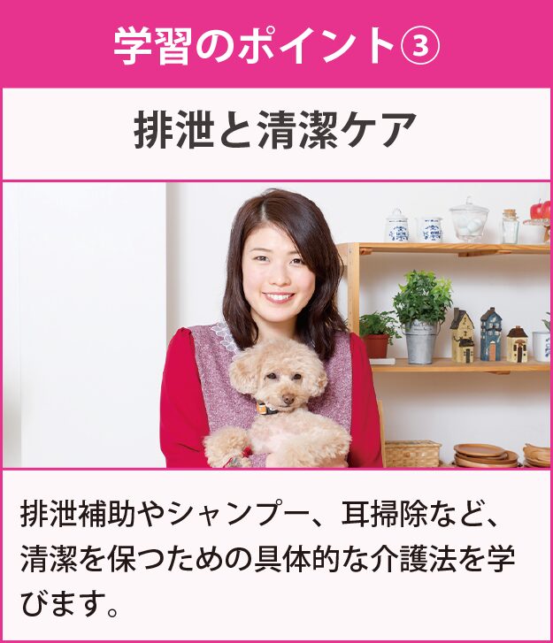 学習のポイント