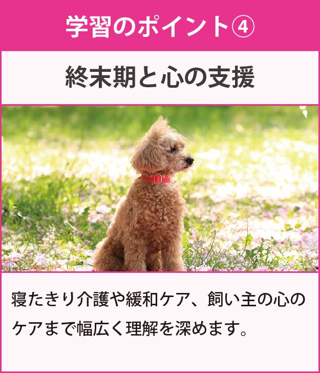 学習のポイント