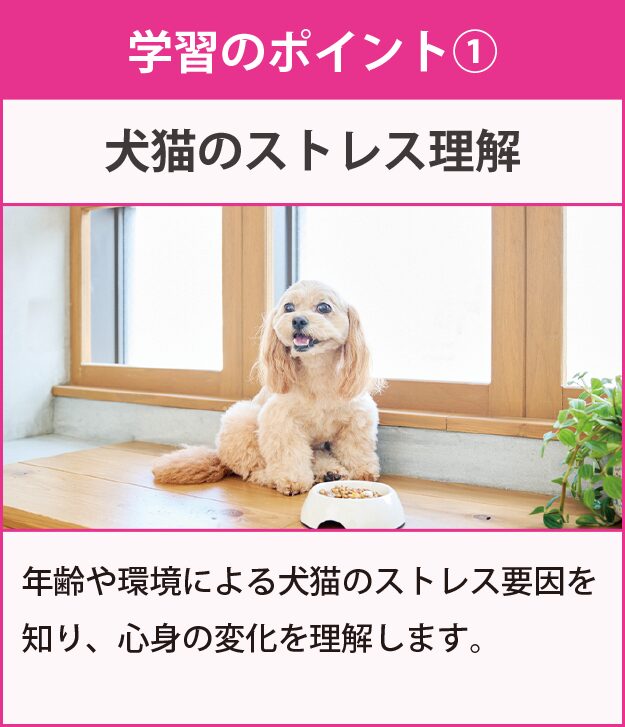 学習のポイント