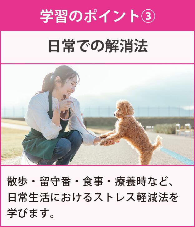 学習のポイント