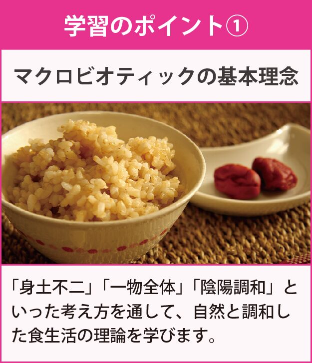 学習のポイント