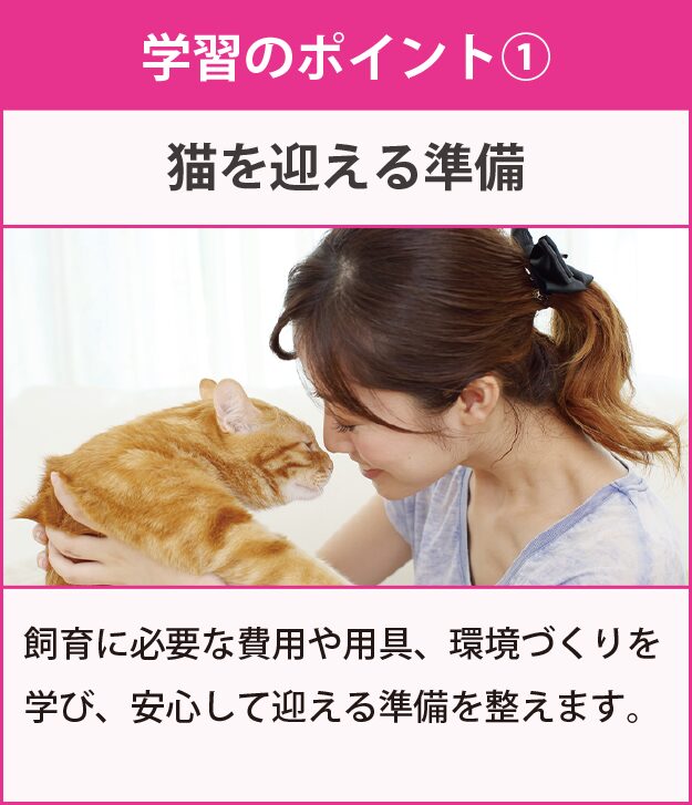 学習のポイント