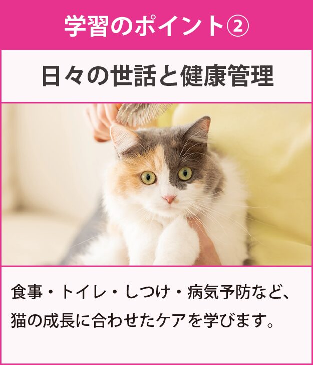 学習のポイント