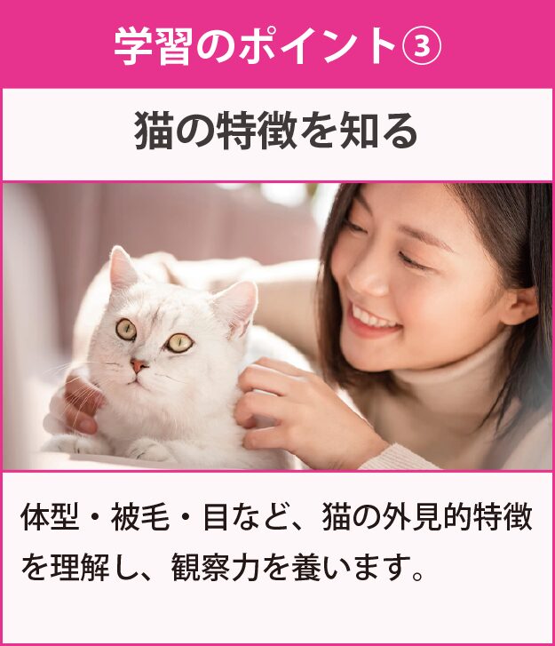 学習のポイント