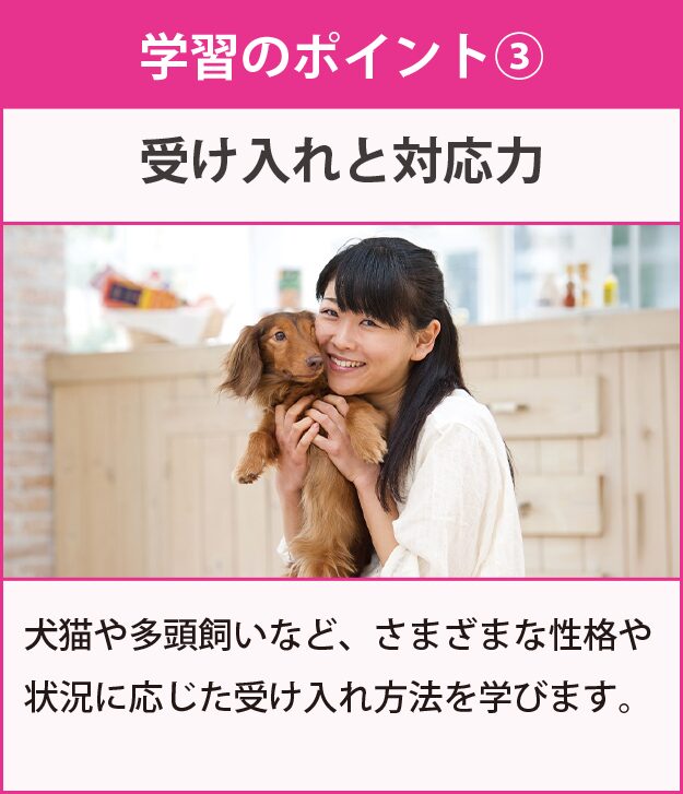 学習のポイント