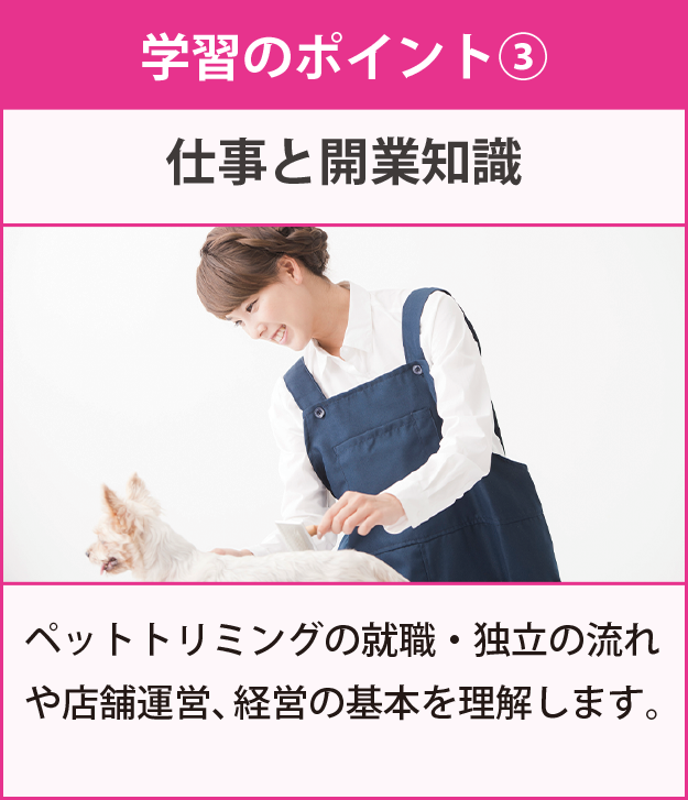 学習のポイント