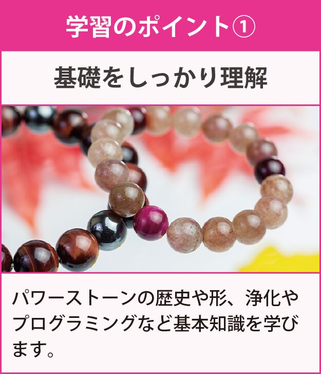 学習のポイント