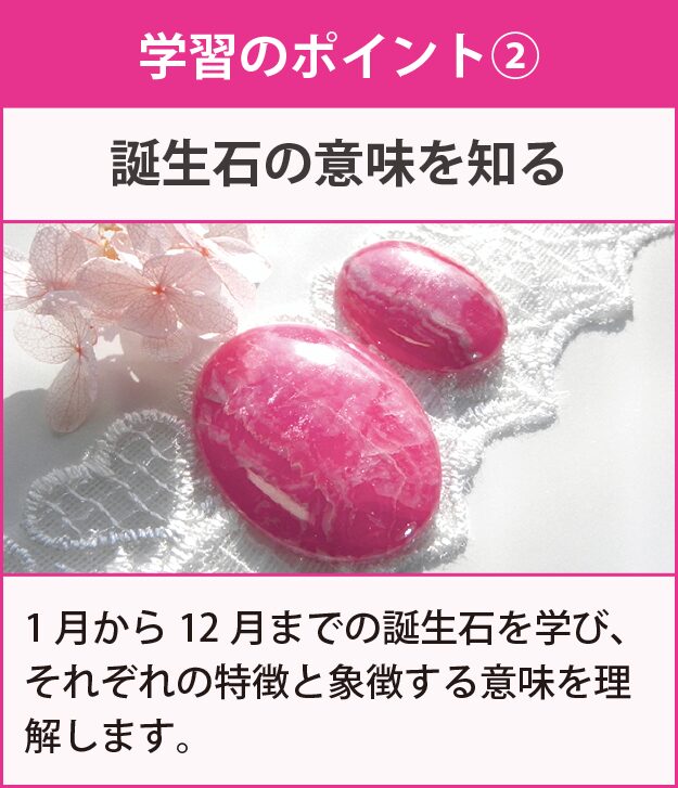 学習のポイント