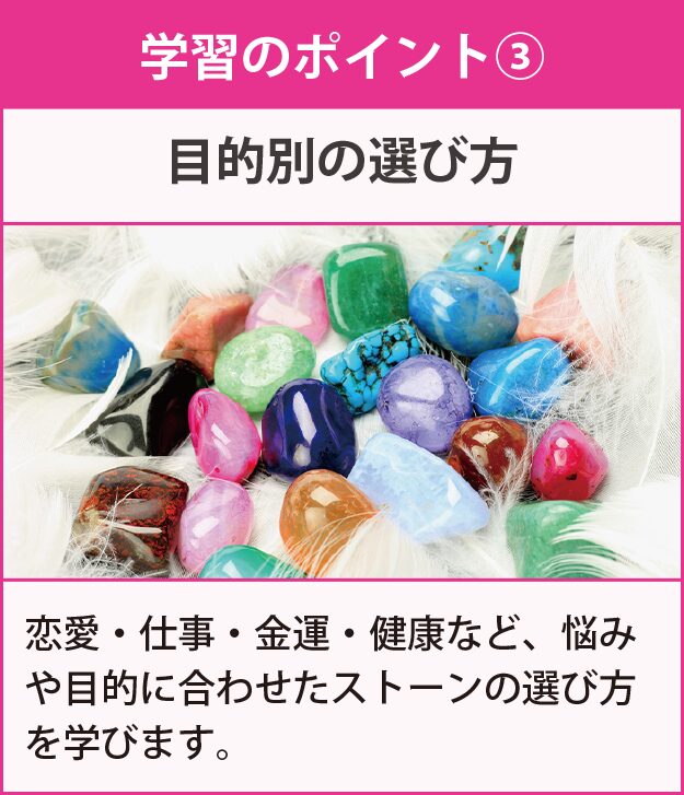 学習のポイント