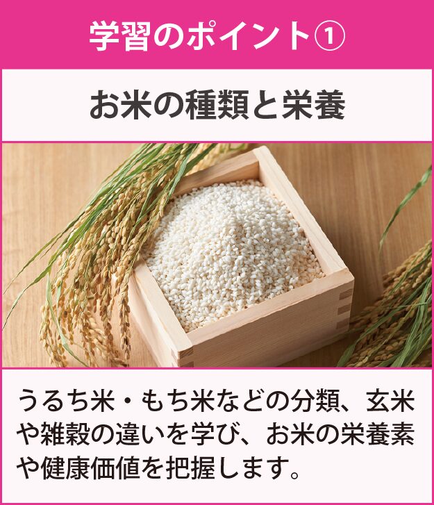 学習のポイント