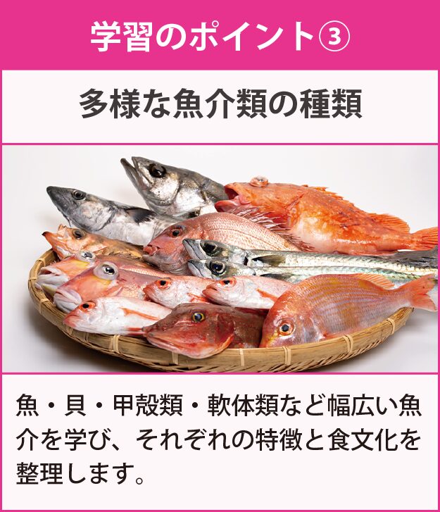 学習のポイント