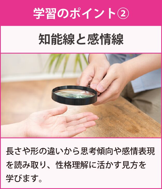 学習のポイント