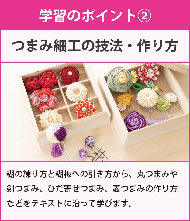 学習のポイント