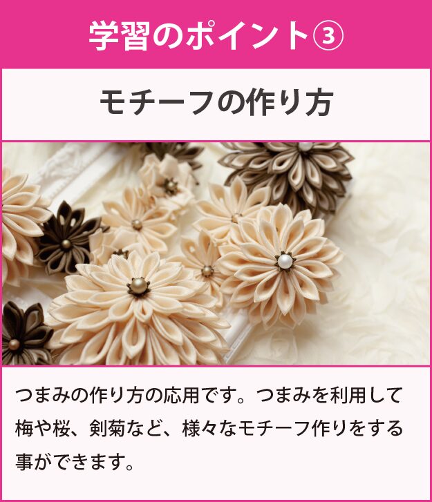 学習のポイント