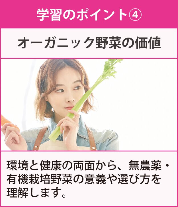 学習のポイント