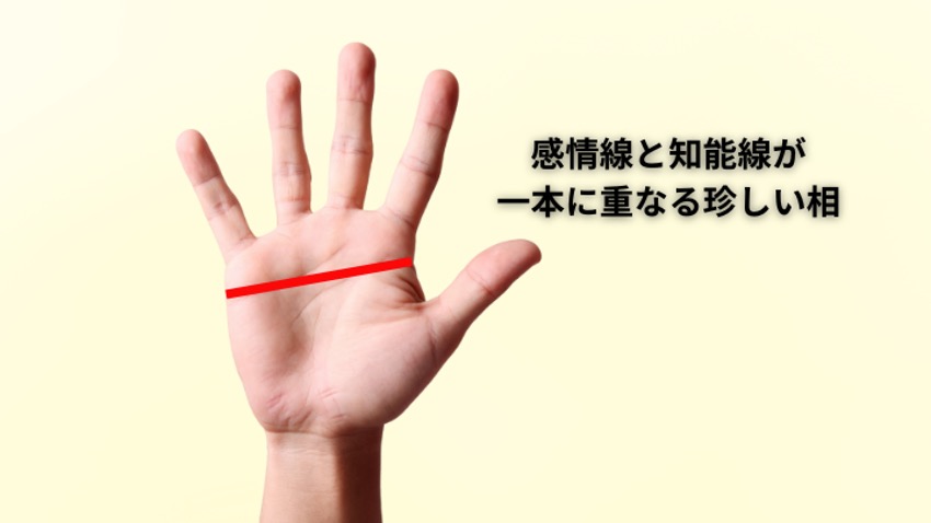 ますかけ線とは