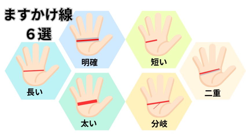 ますかけ線の種類6選